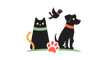Pawzy Paw